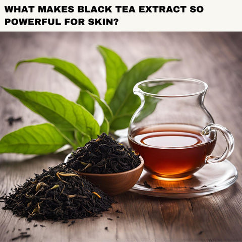 What Makes Black Tea Extract So Powerful for Skin?