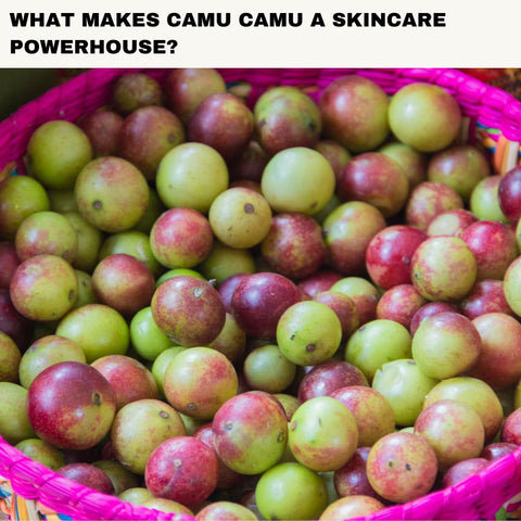 What Makes Camu Camu a Skincare Powerhouse?