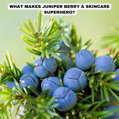 What Makes Juniper Berry a Skincare Superhero?