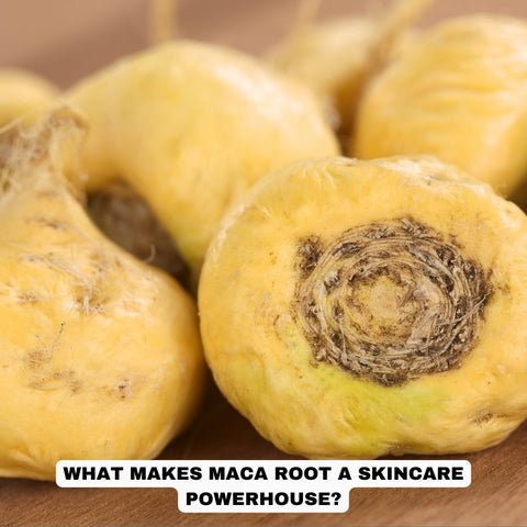 What Makes Maca Root a Skincare Powerhouse?