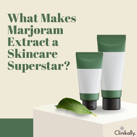 What Makes Marjoram Extract a Skincare Superstar?