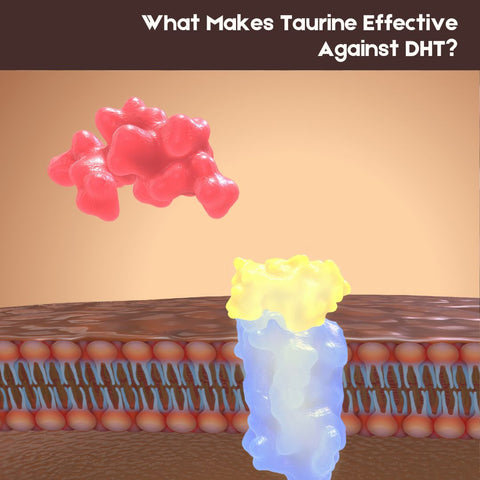 What Makes Taurine Effective Against DHT?