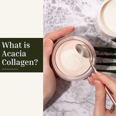 What is Acacia Collagen?