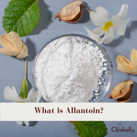 What is Allantoin?