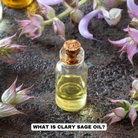 What is Clary Sage Oil?