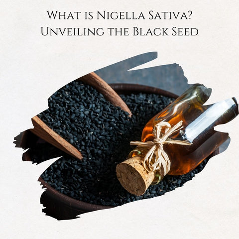 What is Nigella Sativa? Unveiling the Black Seed