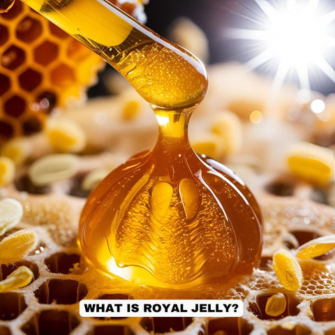 What is Royal Jelly?