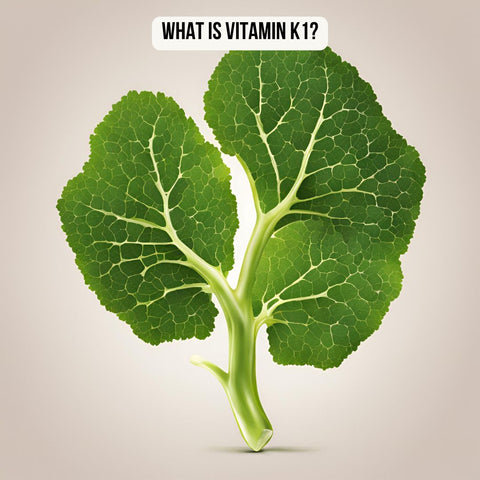 What is Vitamin K1?