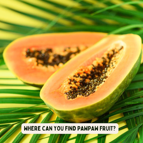 Where Can You Find Pawpaw Fruit?