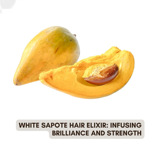 White Sapote Hair Elixir: Infusing Brilliance and Strength