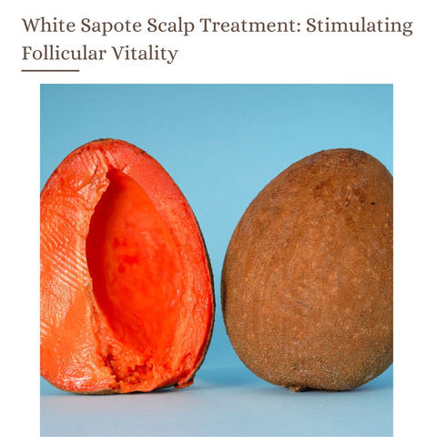 White Sapote Scalp Treatment: Stimulating Follicular Vitality