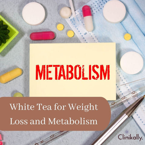 White Tea for Weight Loss and Metabolism