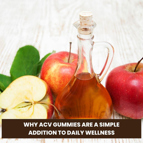 Why ACV Gummies Are a Simple Addition to Daily Wellness
