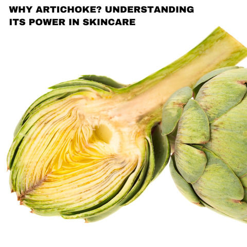 Why Artichoke? Understanding Its Power in Skincare