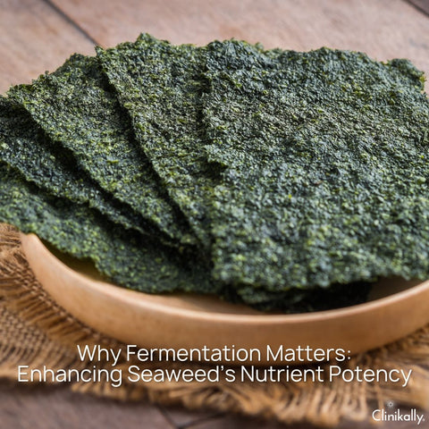 Why Fermentation Matters: Enhancing Seaweed’s Nutrient Potency