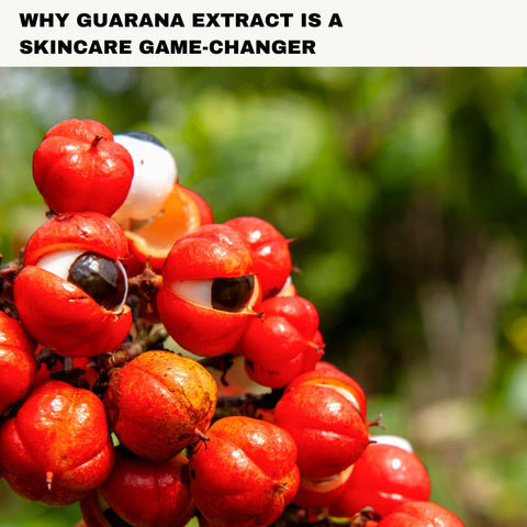 Why Guarana Extract is a Skincare Game-Changer