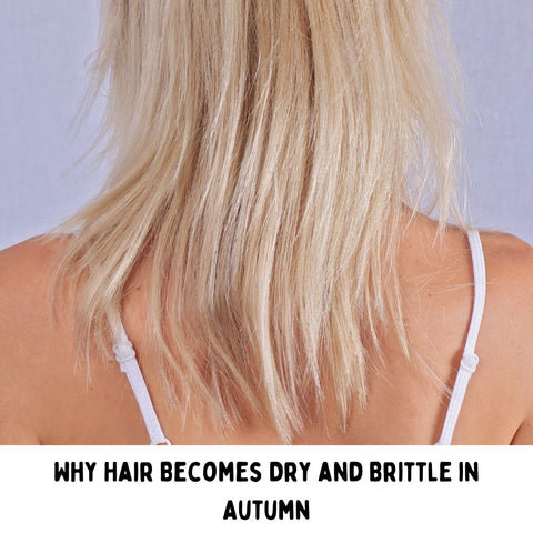 Why Hair Becomes Dry and Brittle in Autumn