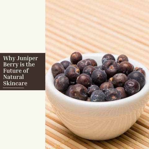 Why Juniper Berry is the Future of Natural Skincare