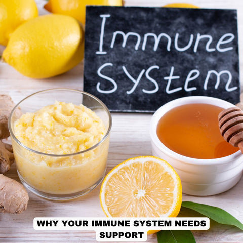 Why Your Immune System Needs Support