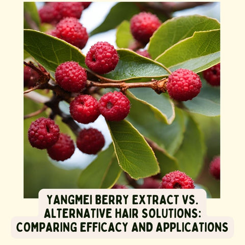 Yangmei Berry Extract vs. Alternative Hair Solutions: Comparing Efficacy and Applications