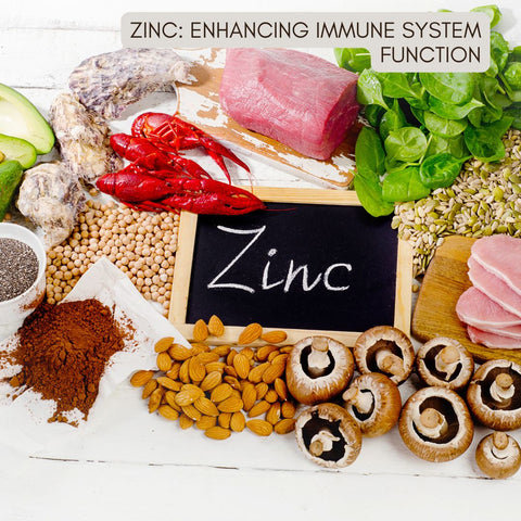 Zinc: Enhancing Immune System Function
