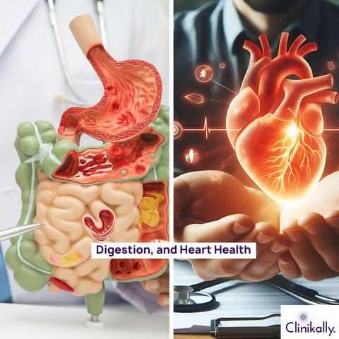 Immunity, Digestion, and Heart Health
