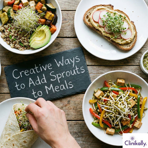 Multiple dishes made with sprouts