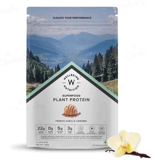 Wellbeing Nutrition Superfood Plant Protein Powder