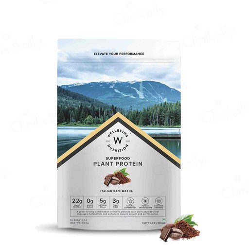 Wellbeing Nutrition Superfood Plant Protein Powder