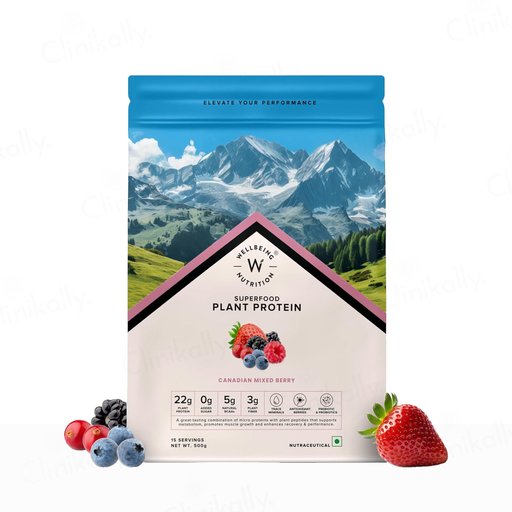Wellbeing Nutrition Superfood Plant Protein Powder
