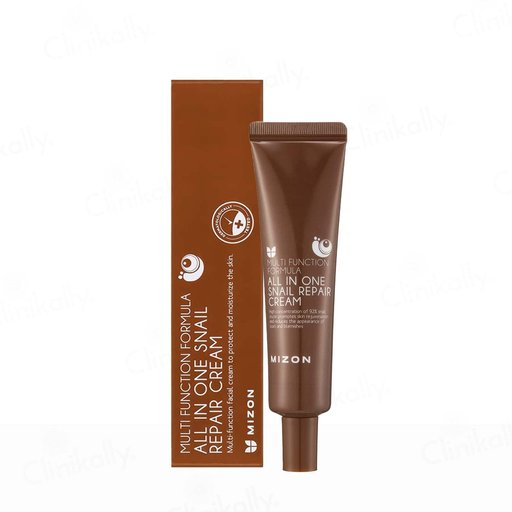 Mizon Multi Function Formula All In One Snail Repair Cream